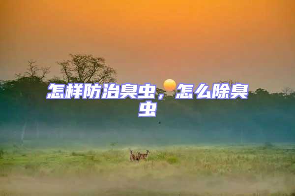 怎樣防治臭蟲,怎么除臭蟲