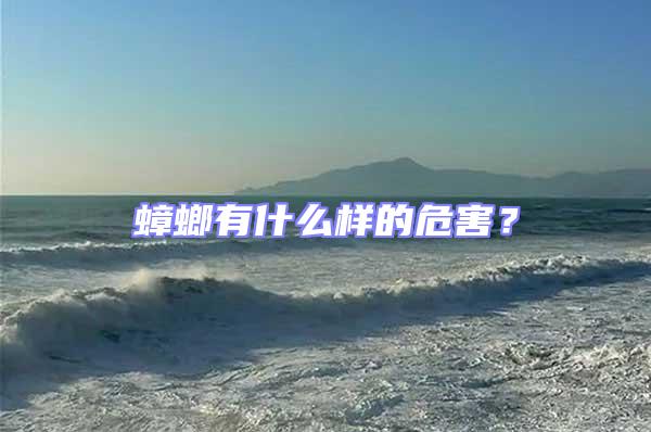 蟑螂有什么樣的危害？