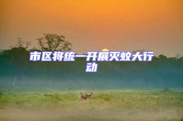 市區將統一開展滅蚊大行動