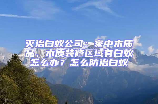 滅治白蟻公司:家中木質品、木質裝修區域有白蟻怎么辦?怎么防治白蟻