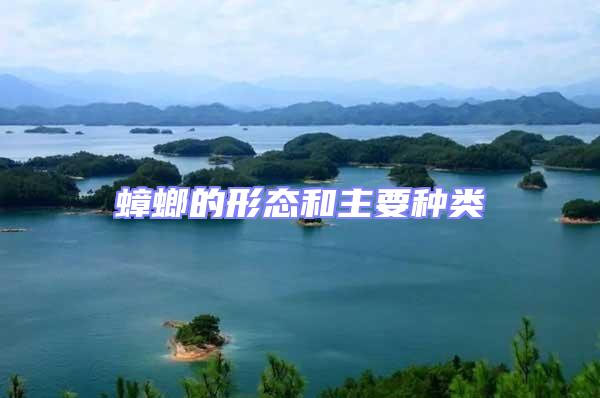 蟑螂的形態(tài)和主要種類(lèi)