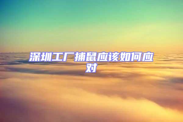 深圳工廠捕鼠應該如何應對