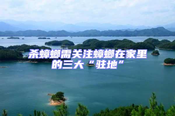 殺蟑螂需關注蟑螂在家里的三大“駐地”