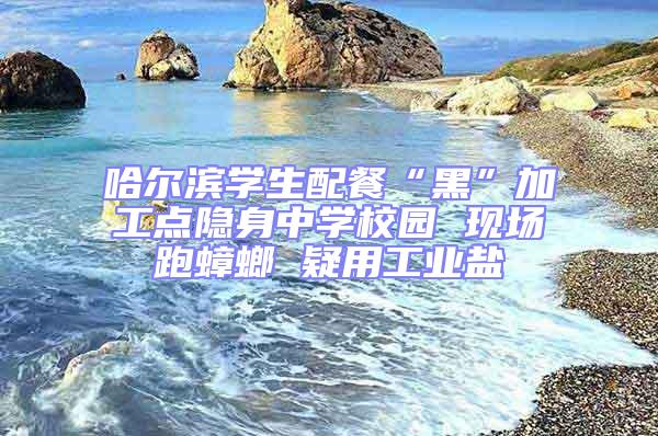 哈爾濱學(xué)生配餐“黑”加工點(diǎn)隱身中學(xué)校園 現(xiàn)場(chǎng)跑蟑螂 疑用工業(yè)鹽