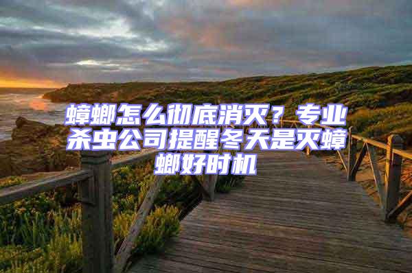 蟑螂怎么徹底消滅?專業殺蟲公司提醒冬天是滅蟑螂好時機