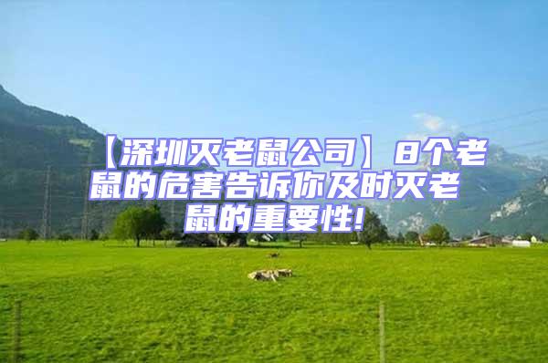 【深圳滅老鼠公司】8個(gè)老鼠的危害告訴你及時(shí)滅老鼠的重要性!