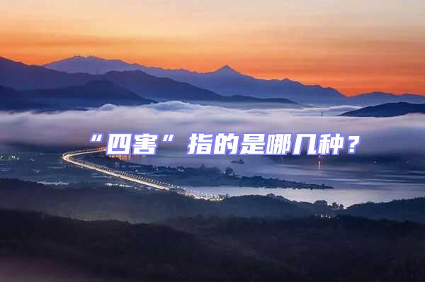 “四害”指的是哪幾種?