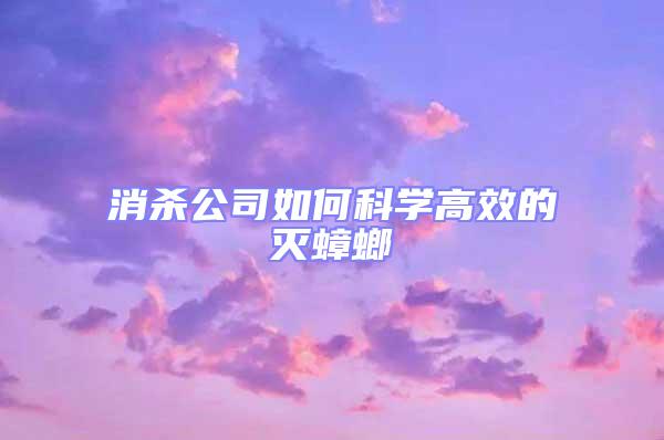 消殺公司如何科學高效的滅蟑螂