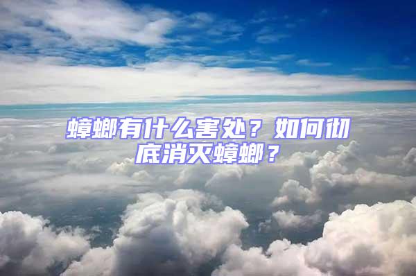 蟑螂有什么害處?如何徹底消滅蟑螂?