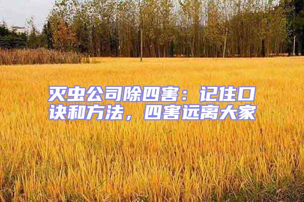 滅蟲公司除四害:記住口訣和方法,四害遠(yuǎn)離大家