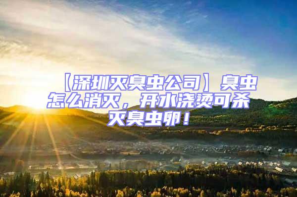 【深圳滅臭蟲(chóng)公司】臭蟲(chóng)怎么消滅，開(kāi)水澆燙可殺滅臭蟲(chóng)卵！