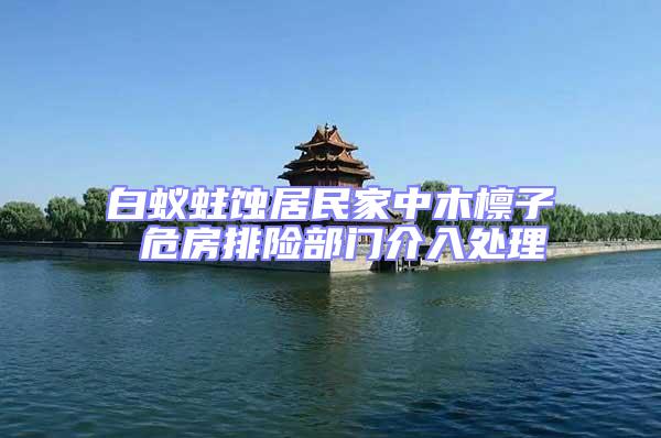 白蟻蛀蝕居民家中木檁子 危房排險部門介入處理