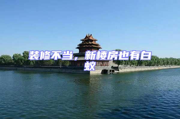 裝修不當(dāng)，新樓房也有白蟻