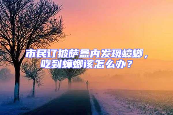 市民訂披薩盒內發現蟑螂,吃到蟑螂該怎么辦?