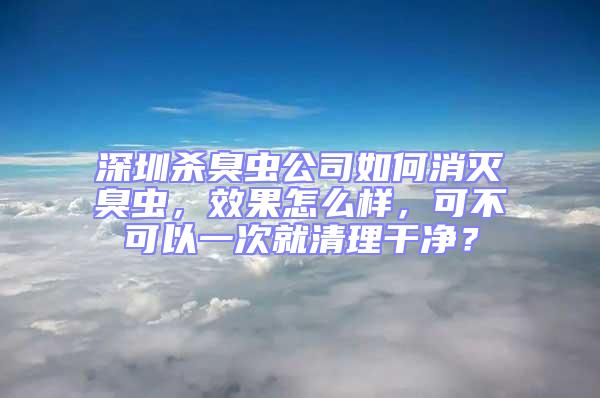 深圳殺臭蟲公司如何消滅臭蟲，效果怎么樣，可不可以一次就清理干凈？
