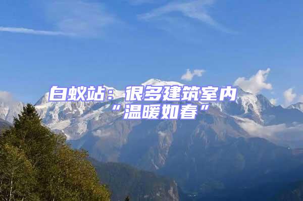 白蟻站:很多建筑室內“溫暖如春”