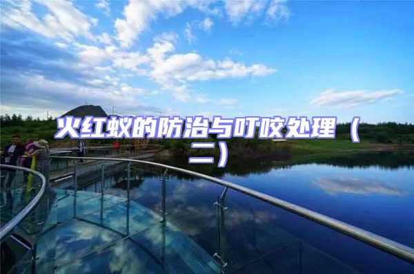 火紅蟻的防治與叮咬處理(二)