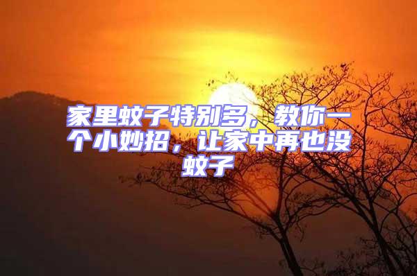 家里蚊子特別多，教你一個(gè)小妙招，讓家中再也沒蚊子