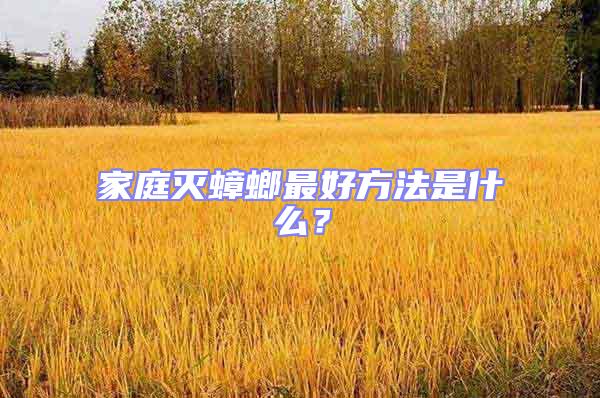 家庭滅蟑螂最好方法是什么？