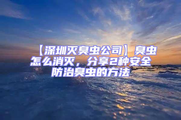 【深圳滅臭蟲公司】臭蟲怎么消滅，分享2種安全防治臭蟲的方法
