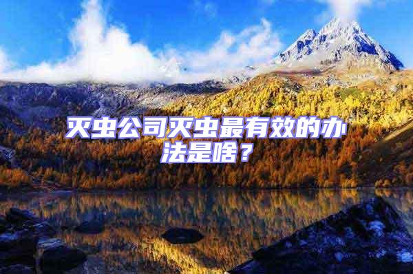 滅蟲公司滅蟲最有效的辦法是啥？