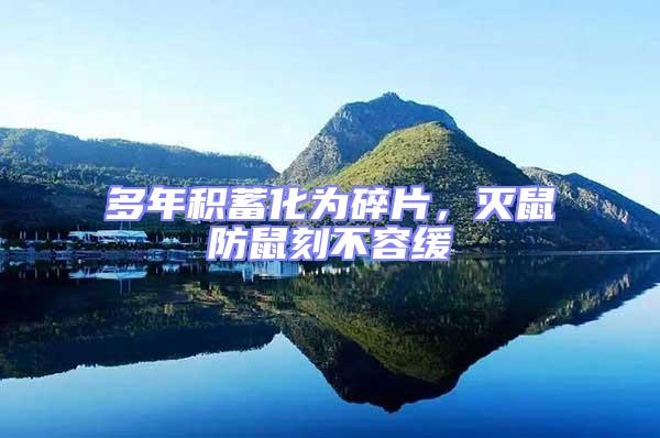 多年積蓄化為碎片，滅鼠防鼠刻不容緩