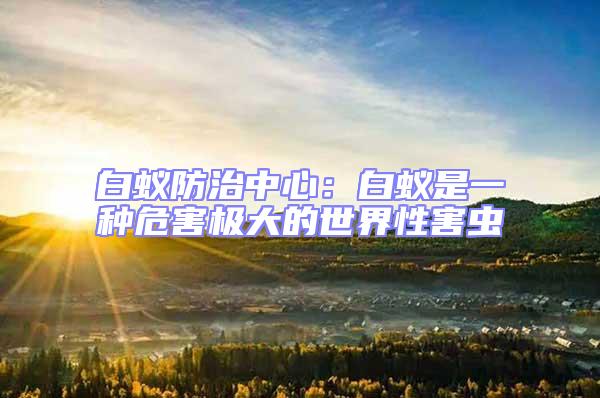 白蟻防治中心:白蟻是一種危害極大的世界性害蟲(chóng)