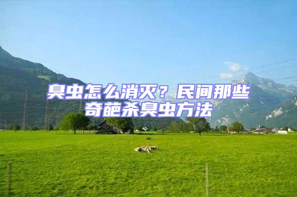 臭蟲怎么消滅?民間那些奇葩殺臭蟲方法