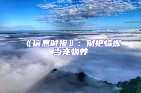 《信息時(shí)報(bào)》：別把蟑螂當(dāng)寵物養(yǎng)