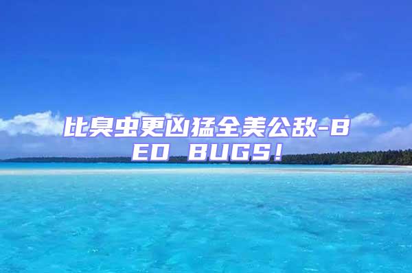 比臭蟲更兇猛全美公敵-BED BUGS！