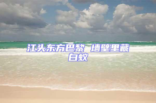 江頭東方巴黎 墻壁里藏白蟻