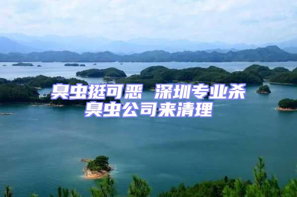 臭蟲挺可惡 深圳專業(yè)殺臭蟲公司來(lái)清理