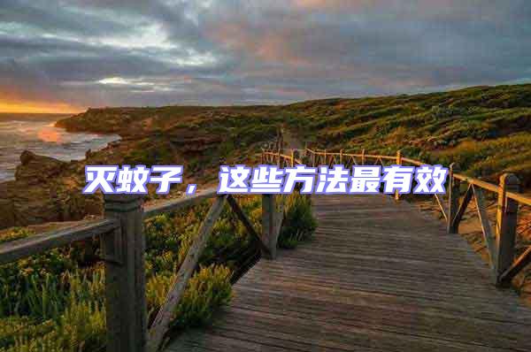 滅蚊子,這些方法最有效