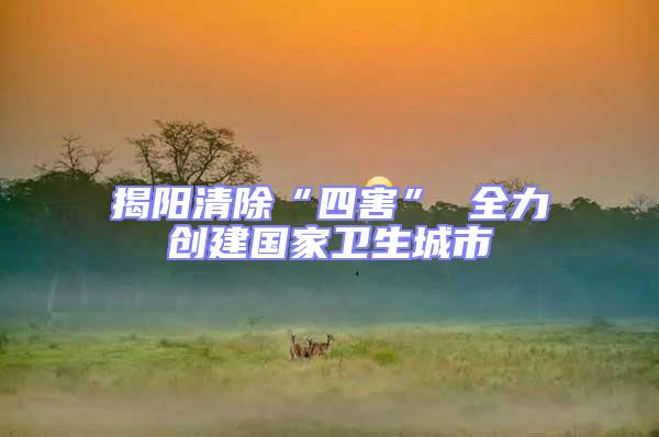 揭陽清除“四害” 全力創建國家衛生城市