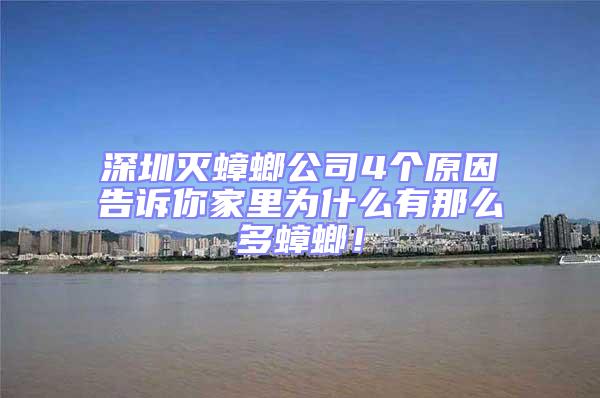 深圳滅蟑螂公司4個原因告訴你家里為什么有那么多蟑螂！