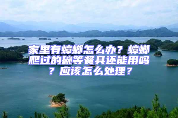 家里有蟑螂怎么辦？蟑螂爬過的碗等餐具還能用嗎？應該怎么處理？