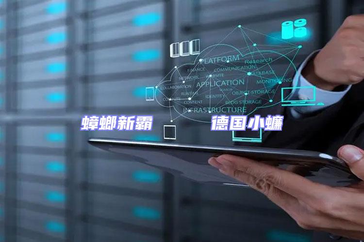 蟑螂新霸 德國小蠊