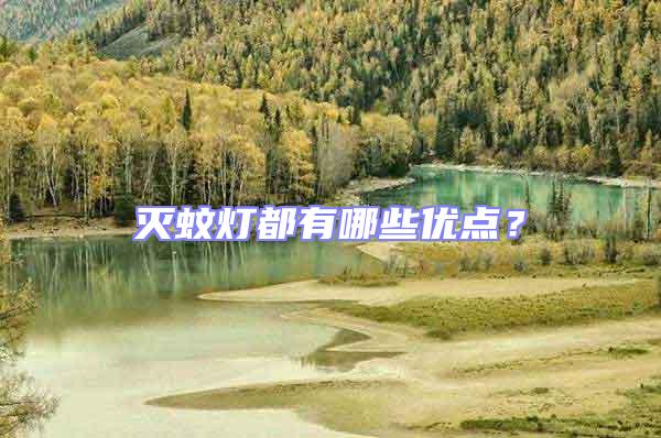 滅蚊燈都有哪些優(yōu)點(diǎn)？