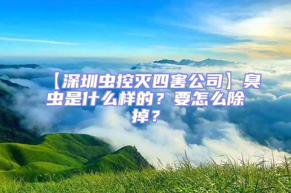 【深圳蟲控滅四害公司】臭蟲是什么樣的？要怎么除掉？