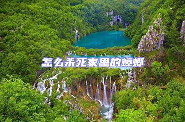 怎么殺死家里的蟑螂