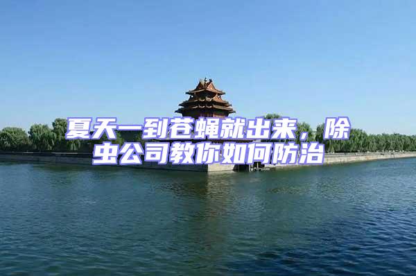 夏天一到蒼蠅就出來,除蟲公司教你如何防治