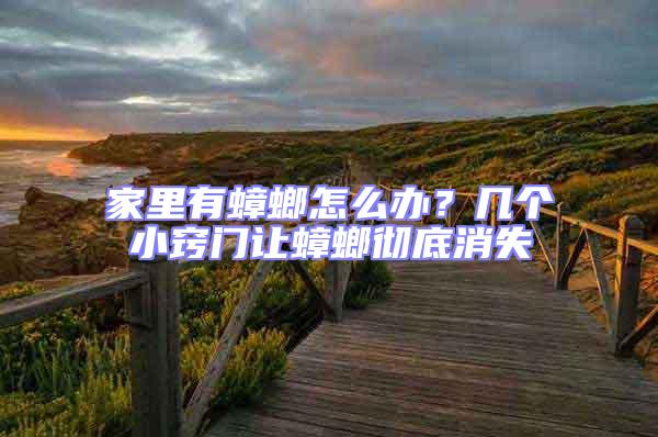 家里有蟑螂怎么辦?幾個(gè)小竅門(mén)讓蟑螂徹底消失