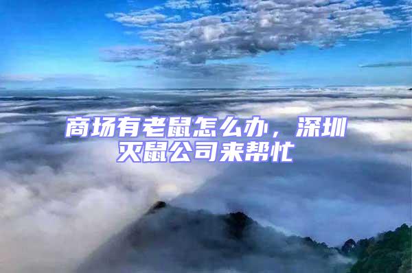 商場(chǎng)有老鼠怎么辦，深圳滅鼠公司來(lái)幫忙