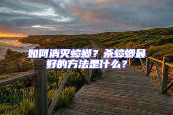 如何消滅蟑螂？殺蟑螂最好的方法是什么？