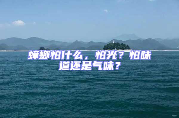 蟑螂怕什么,怕光?怕味道還是氣味?