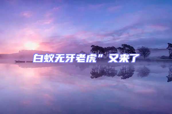 白蟻無牙老虎”又來了