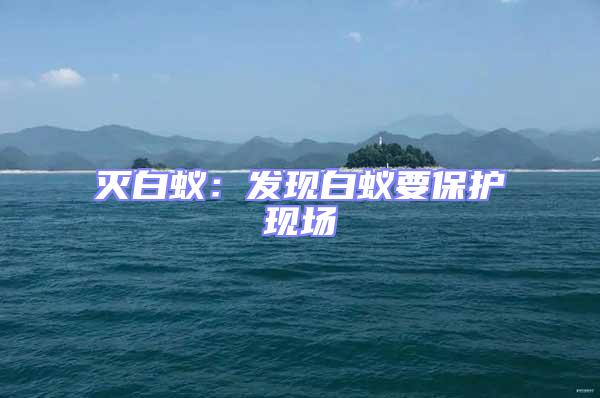 滅白蟻：發現白蟻要保護現場