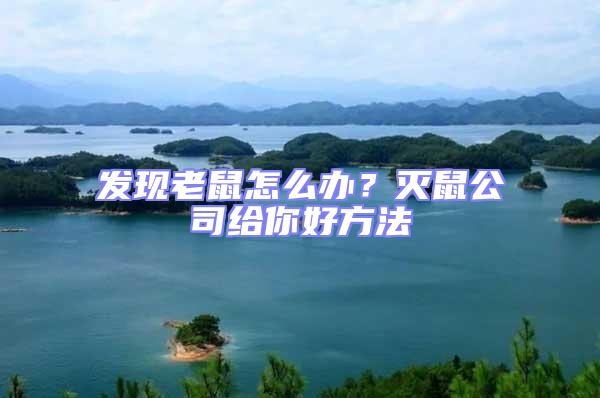 發(fā)現(xiàn)老鼠怎么辦？滅鼠公司給你好方法