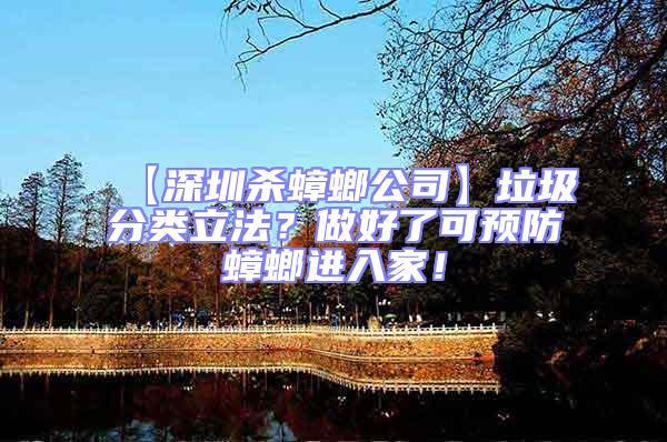 【深圳殺蟑螂公司】垃圾分類立法?做好了可預防蟑螂進入家!