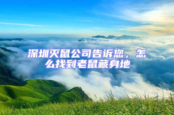 深圳滅鼠公司告訴您，怎么找到老鼠藏身地